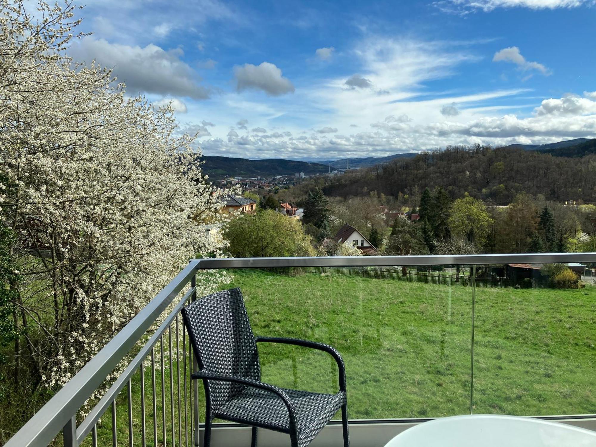 Studioappartment Saaleblick ルドルシュタット エクステリア 写真